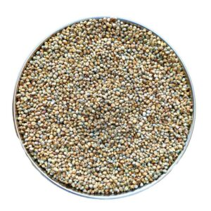 Country Pearl Millet (நாட்டுக்கம்பு ) 500g