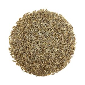 Cumin Seeds 100g