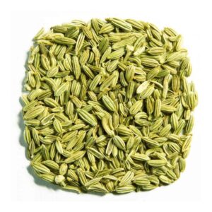 Fennel Seeds 100g