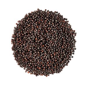 Mustard Seeds