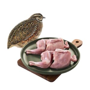 Kaadai Quail 1Pcs